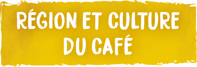 ancre-region-et-culture-du-cafe