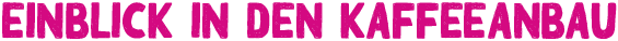 Au_coeur_de_la_prod_D.png